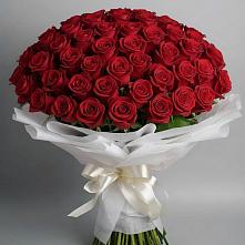 Букет 101 Красная роза Блэк Мэджик в Ардоне