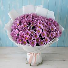 Букет цветов из:  Хризантемы в Ардоне