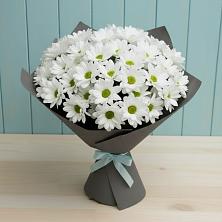 Букет цветов из:  Хризантемы в Ардоне