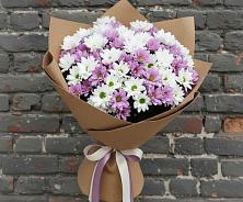 Букет цветов из:  Хризантемы в Ардоне