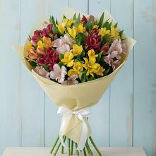Букет цветов из:  Альстромерии #REPLACE_PRED# Ардоне