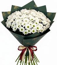 Букет цветов из:  Хризантемы #REPLACE_PRED# Ардоне