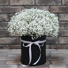 Цветочная композиция из Гипсофила в шляпной коробке #REPLACE_PRED# Ардоне