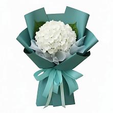 Букет цветов из:  Гортензия в Ардоне